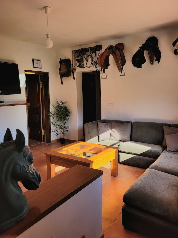 Casa Rural Guadarnés, Los Palmitos - Arucas