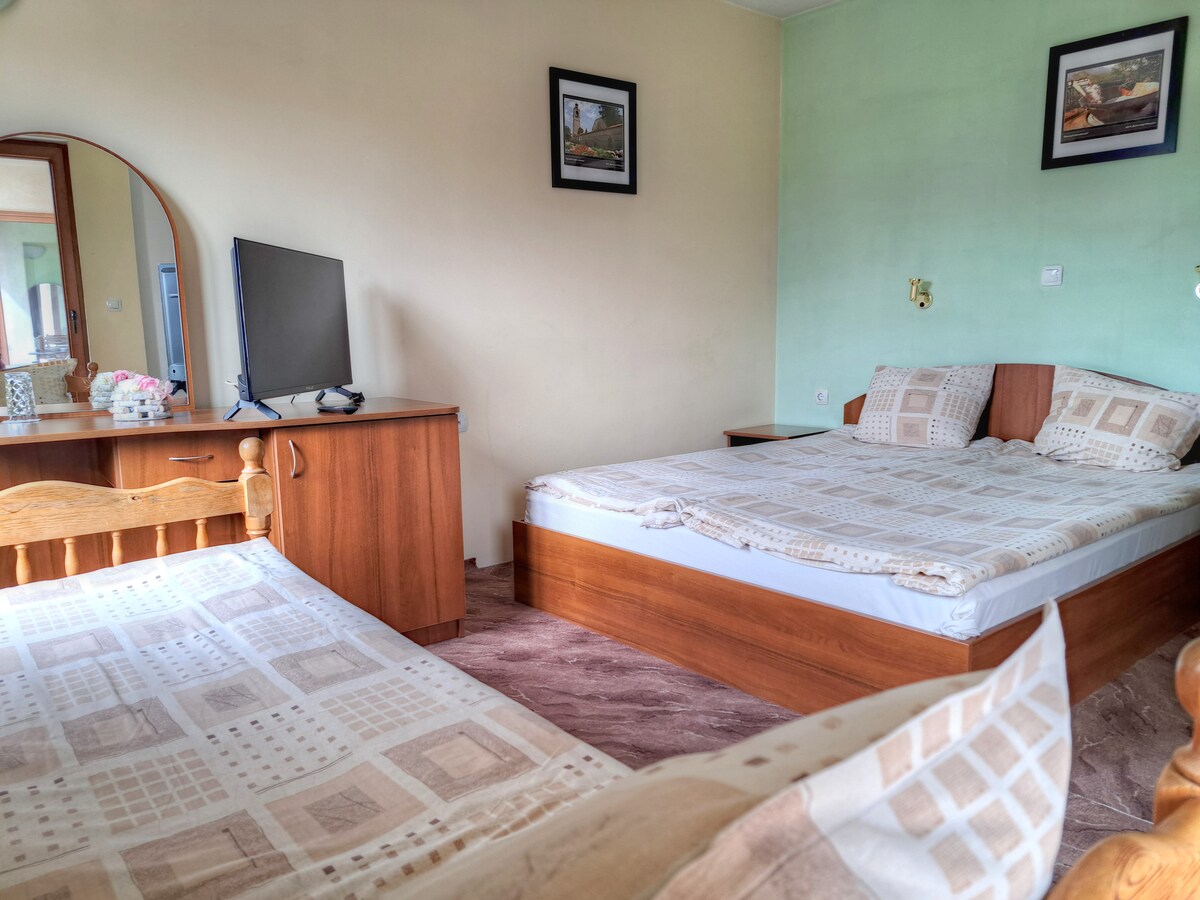 A well-furnished bedroom includes a double bed and a single bed, accented by light-colored bedding. A wooden dresser with a mirror and a flat-screen television are visible. The walls are painted in green and beige tones, enhancing the room's inviting feel.