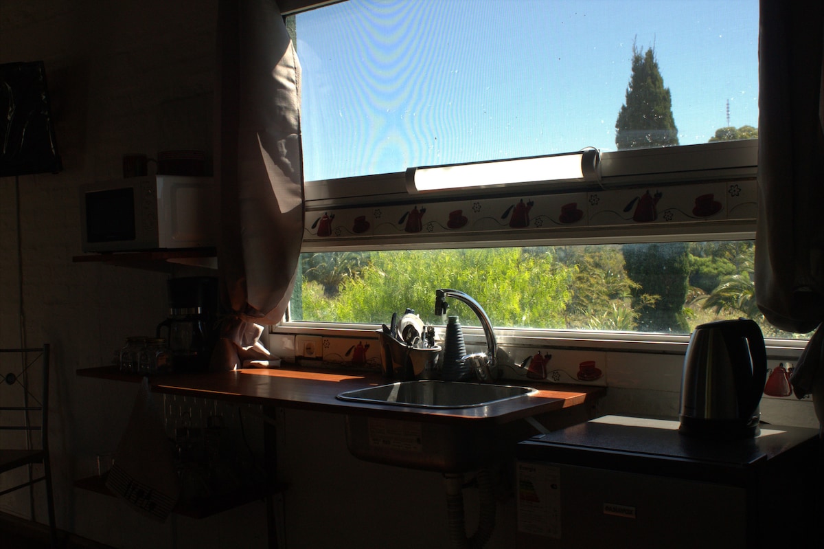 A functional kitchen space is featured, characterized by a window that allows natural light to illuminate the area. A sink is positioned beneath the window, complemented by kitchen appliances including a kettle and coffee maker on the countertop. Lush greenery is visible outside, enhancing the ambiance.