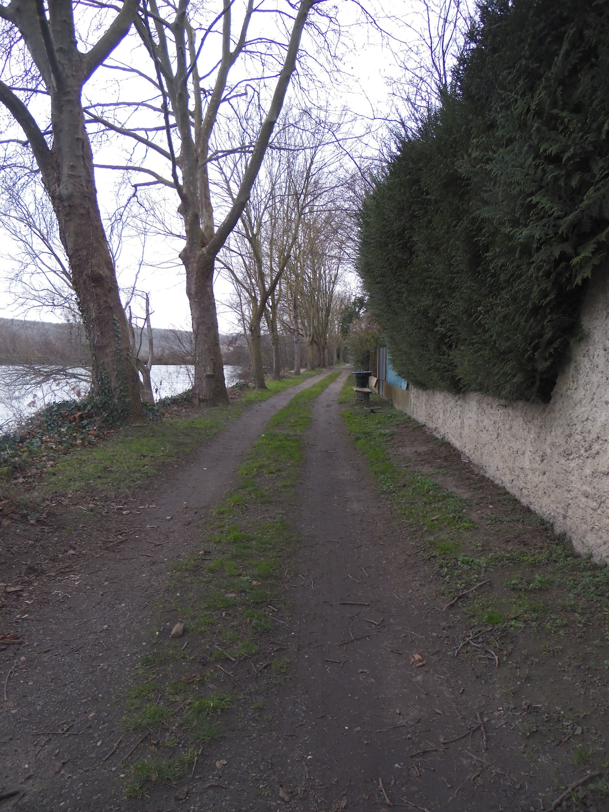 A narrow, unpaved path runs alongside a body of water, flanked by tall trees and a lush green hedge. The pathway is bordered by a wall on one side, creating a serene outdoor setting ideal for leisurely walks.