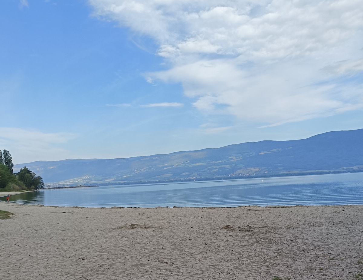 A serene sandy beach extends towards calm waters reflecting the sky, bordered by a gentle green landscape. Rolling hills are visible in the distance, while a few trees provide soft accents along the shore, creating a tranquil atmosphere.