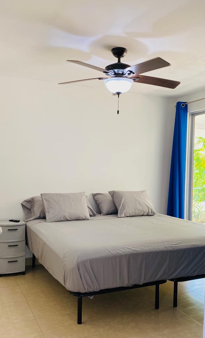 غرفة نوم رئيسية بسرير كبير