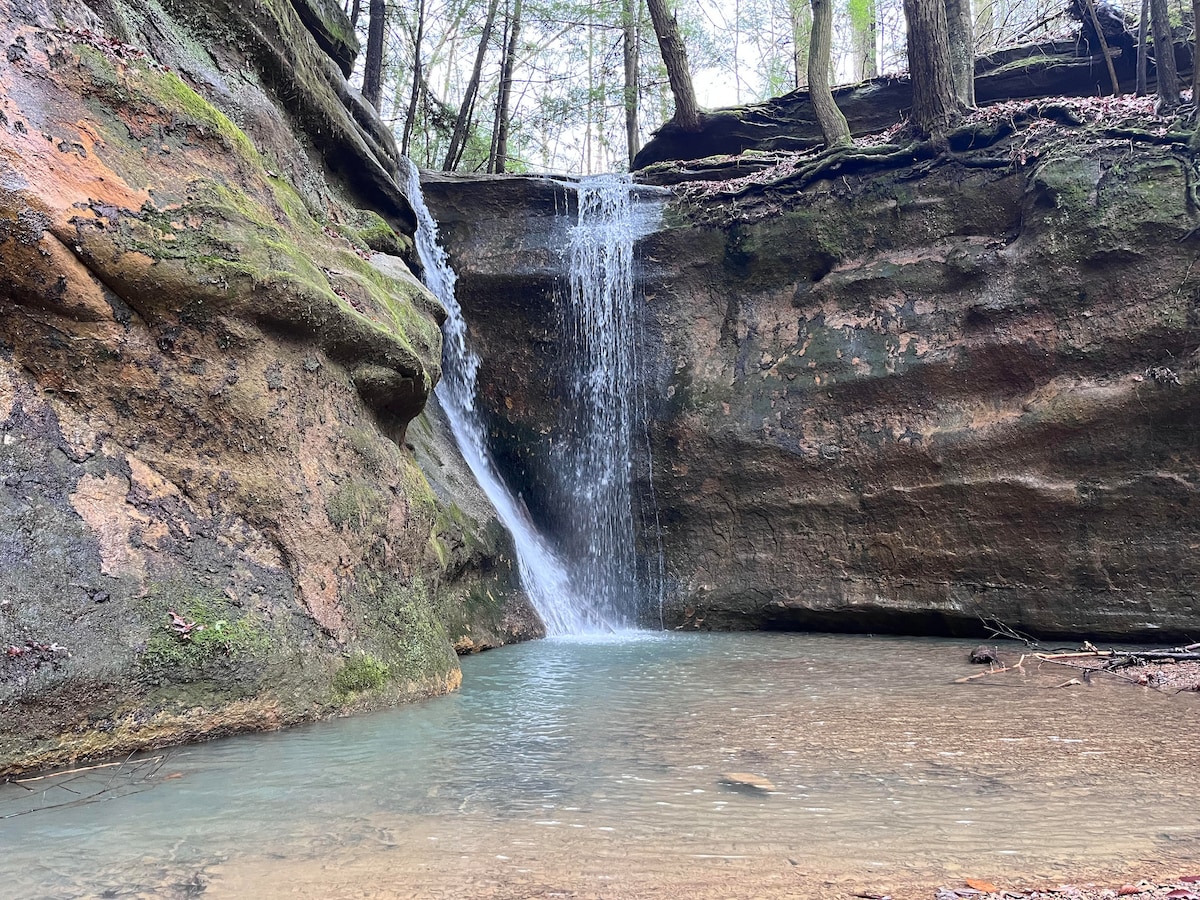 A gentle waterfall cascades down a rocky cliffside into a serene pool of clear water, surrounded by natural stone formations. Lush greenery from the trees overhead enhances the peaceful setting, creating a harmonious connection with nature.