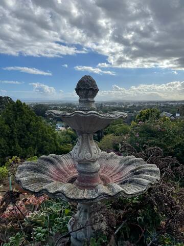 Villa Musta Koira gallery image 3