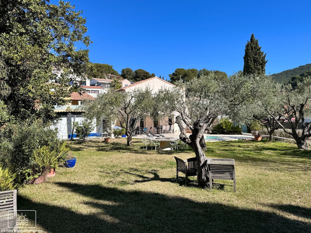 A spacious garden is depicted, featuring greenery and mature olive trees. Sunlight filters through the trees, creating a serene ambiance. A portion of the villa is visible in the background, alongside the inviting pool area framed by comfortable lounge furniture.
