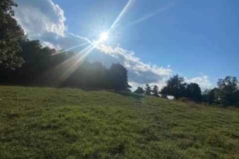 Seaton’s Solar SiestaStop Site12