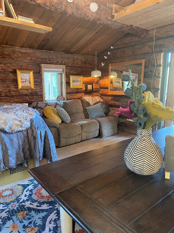 Couch inside of cabin 