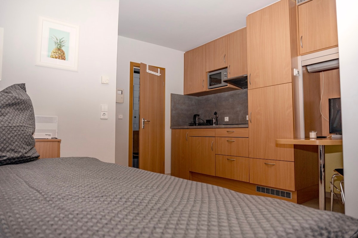Erfolgreiche Airbnb-Immobilie: 1-Zimmer City-Apartment W1 in Rathaus