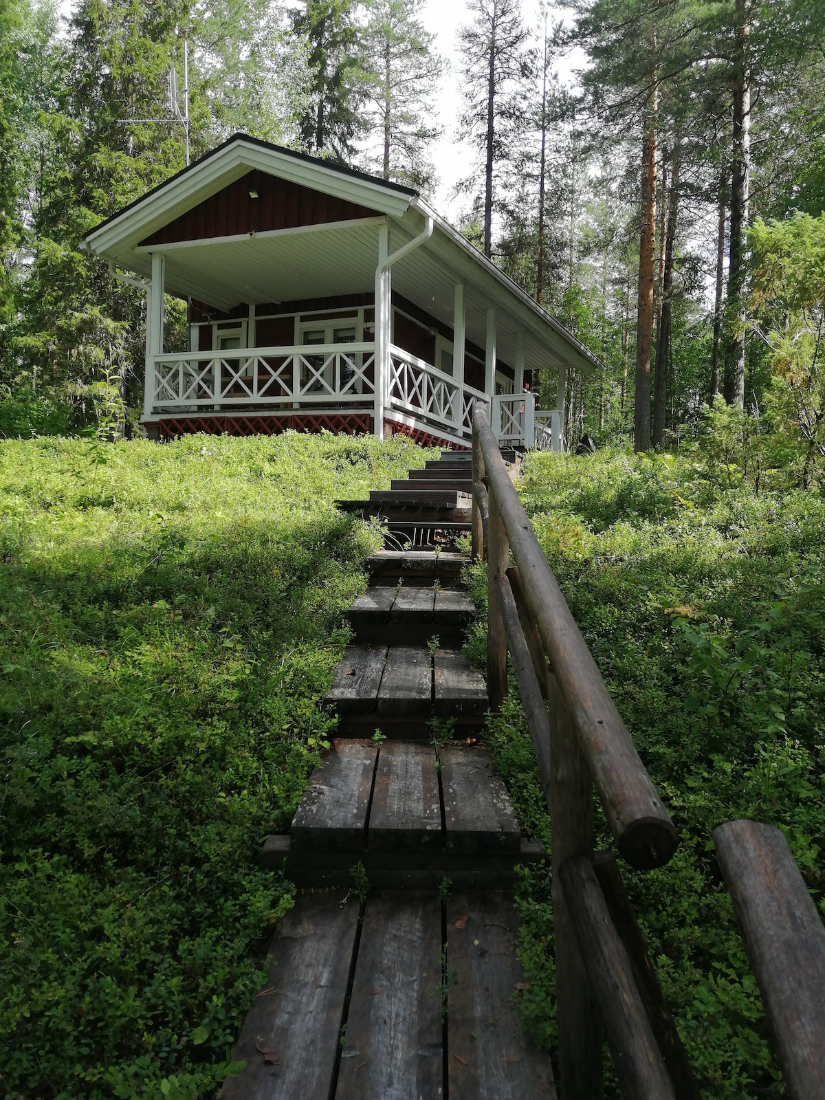 A wooden staircase leads through lush greenery to the entrance of a traditional Finnish summer cottage. The cottage features a red exterior with white railings and a covered porch, surrounded by tall trees that provide a natural setting.