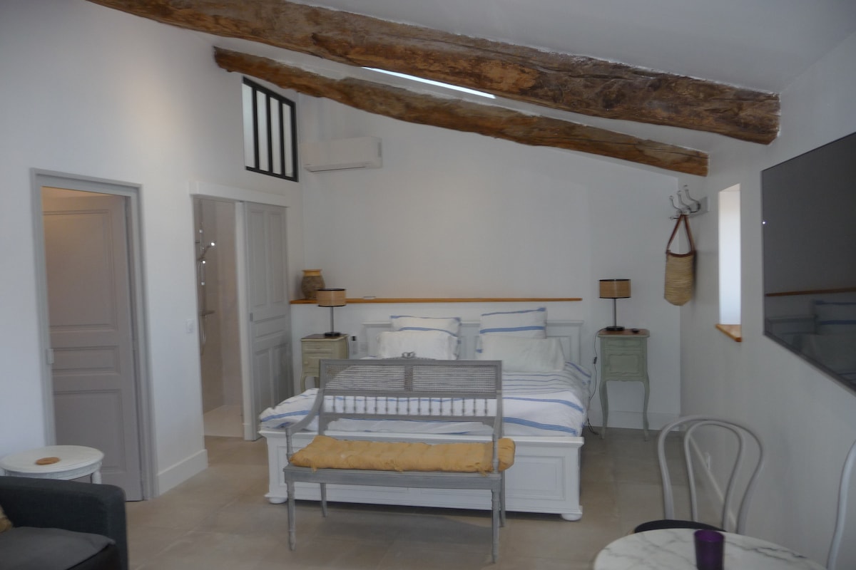 Studio apartman sa spojenom kupaonicom, originalnim značajkama te modernom kupaonicom i kuhinjom s krovnim svjetlima.  