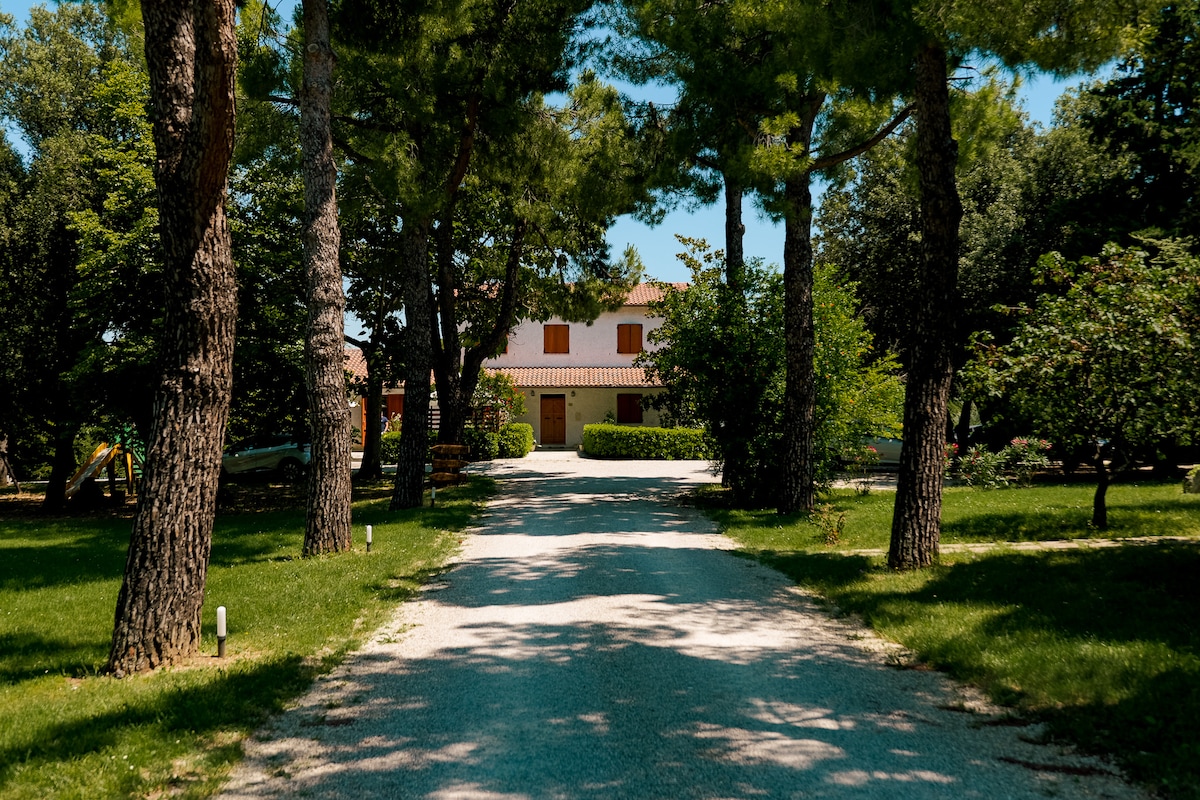 A gravel driveway is framed by towering trees leading to a two-story building with orange accents and brown shutters. Lush greenery surrounds the property, with a play area visible to the side and various plants dotting the landscape.