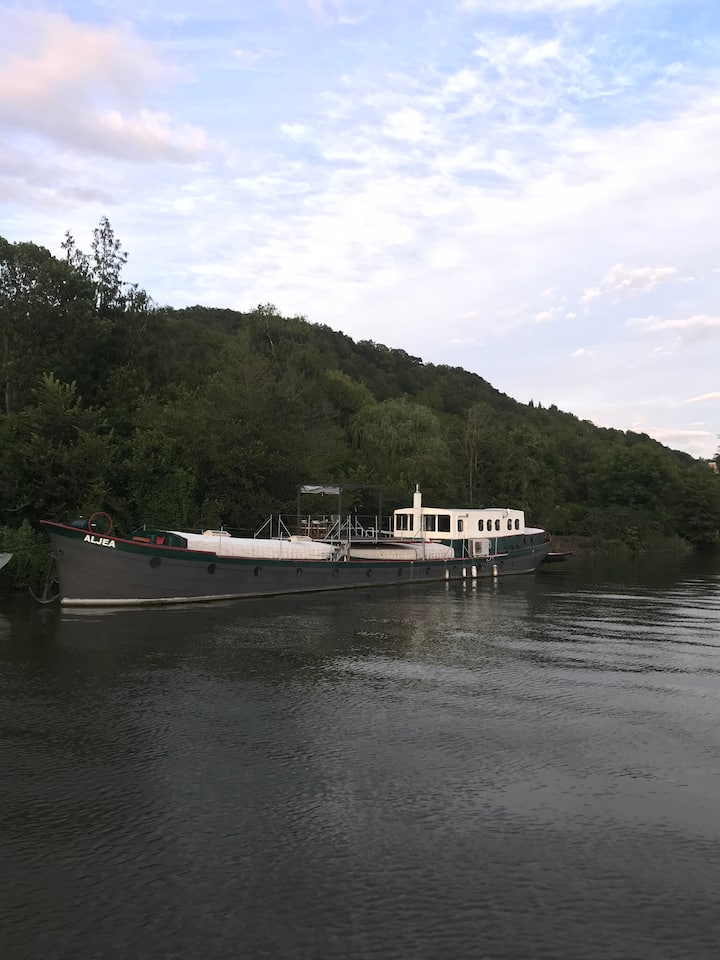 Péniche En Pleine Nature Sur La Seine. - Mantes-la-Jolie