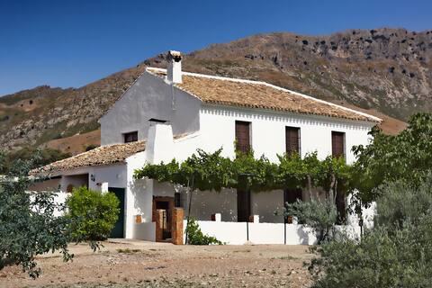 Gran casa rural en Andalucía