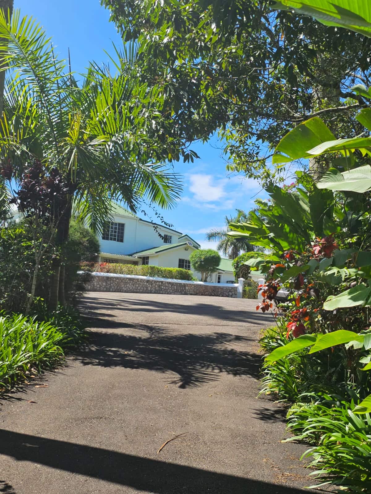 The great house seen from its tree-lined driveway