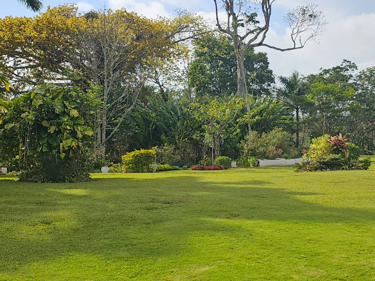 The expansive grounds of Dalkeith Great House