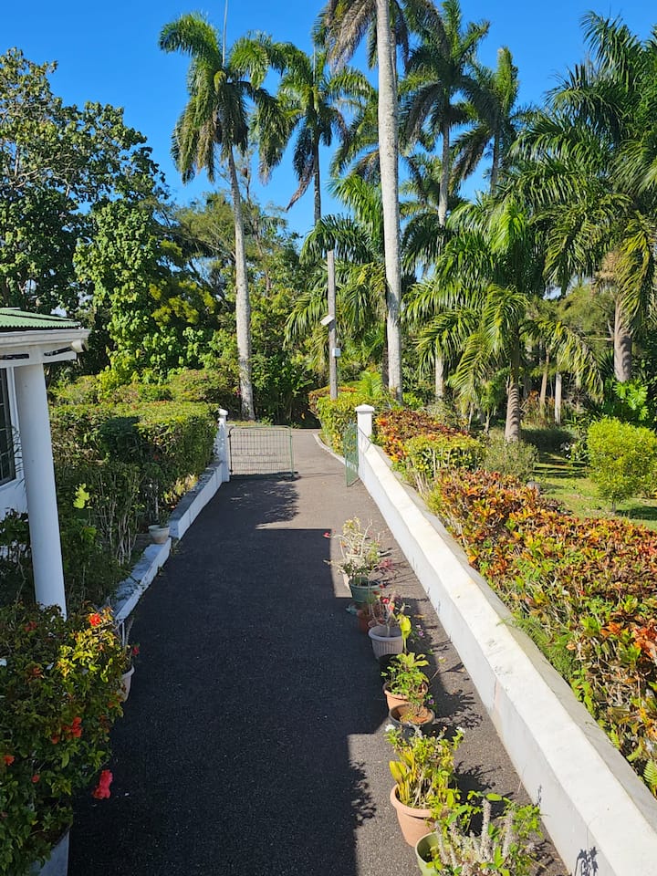 Flower-lined garden path
