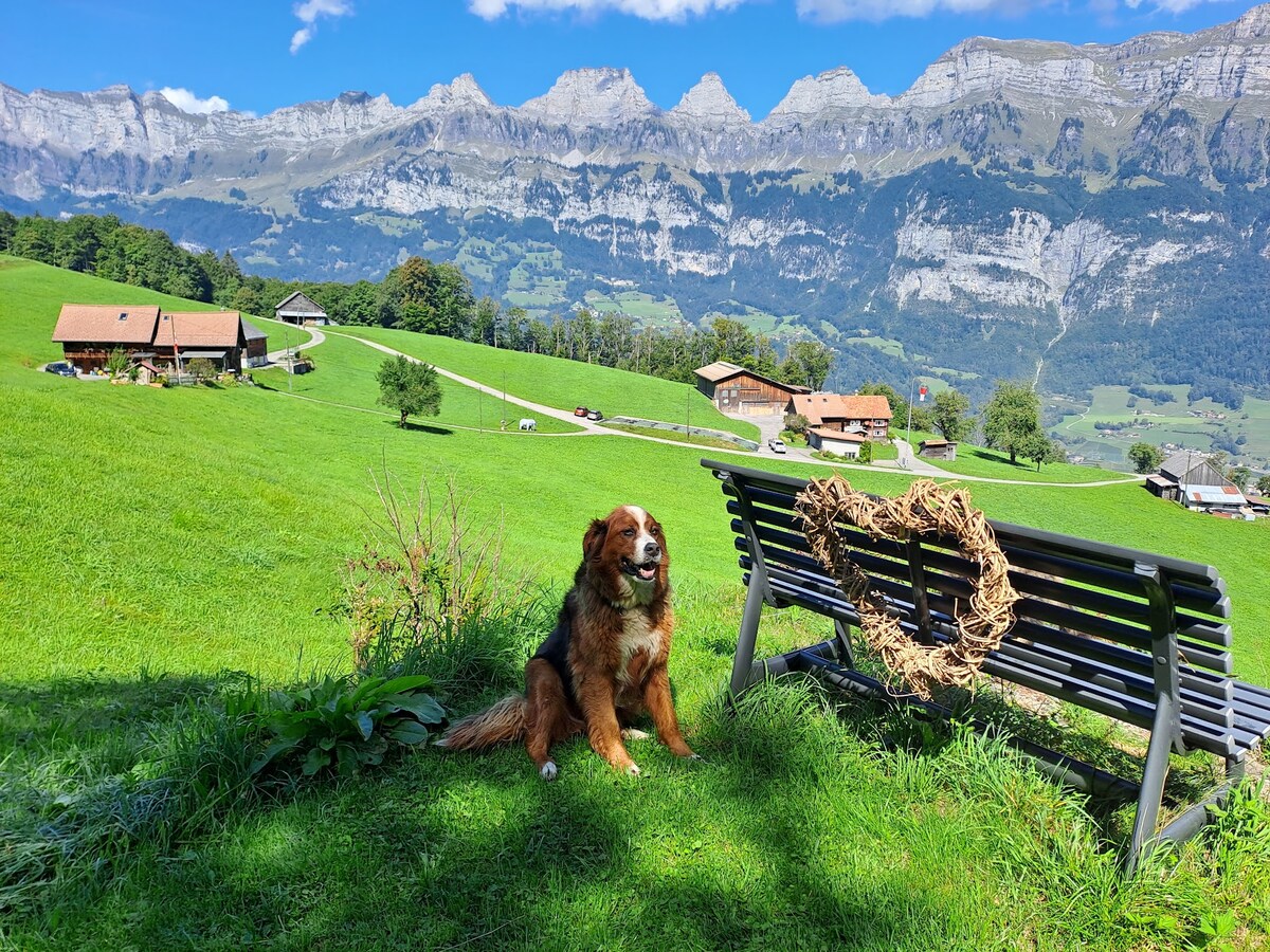 A grassy area is featured with a dog sitting in front of a rustic wooden bench. In the background, traditional houses are set against a backdrop of majestic mountains and blue skies, creating a serene countryside environment.