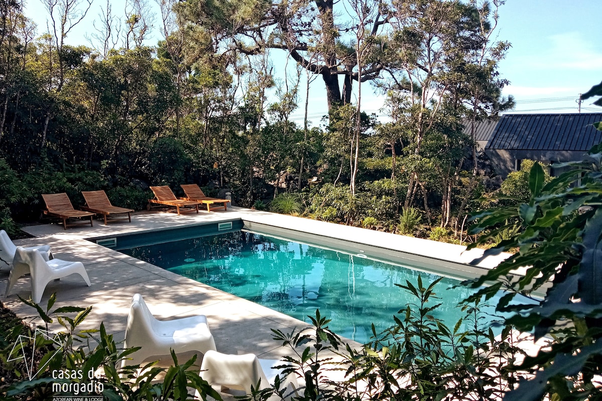 A serene pool area is surrounded by lush greenery and tall trees. Several modern loungers are positioned on one side of the pool, inviting relaxation. The clear water of the pool reflects the natural surroundings, offering a peaceful retreat close to nature.
