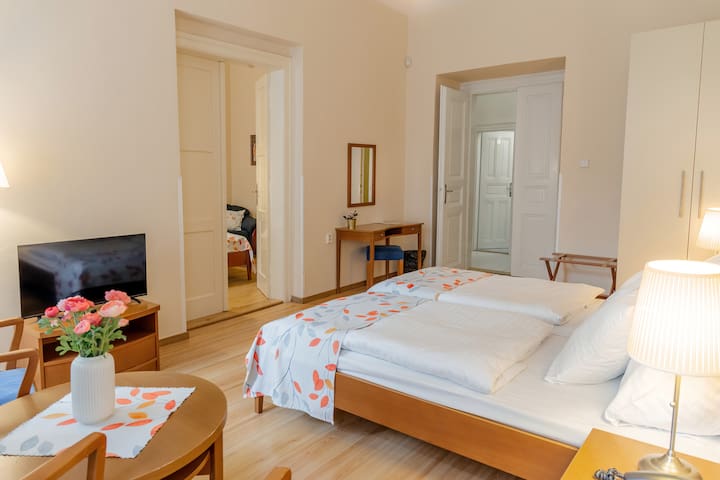 Ok-Tours a.s managed Airbnb listing 2