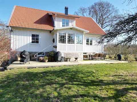 Classic archipelago house