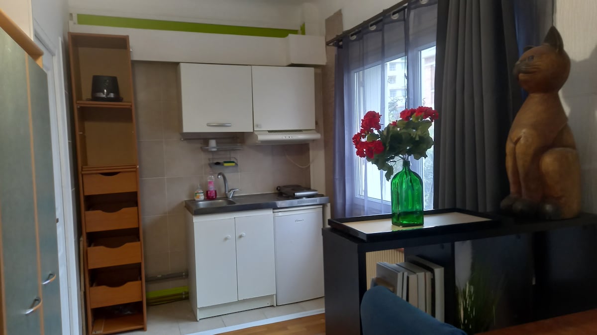 A kitchenette is visible, featuring white cabinetry and a stainless steel sink. A small wooden shelf with drawers stands nearby. A vibrant green vase filled with red flowers decorates a black table. Natural light enters through a window, framed by dark curtains.