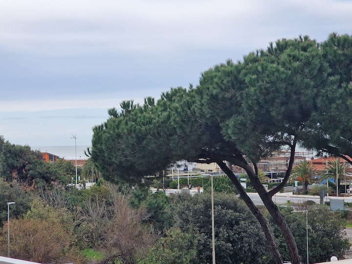 La Casa Del Sole - Camaiore
