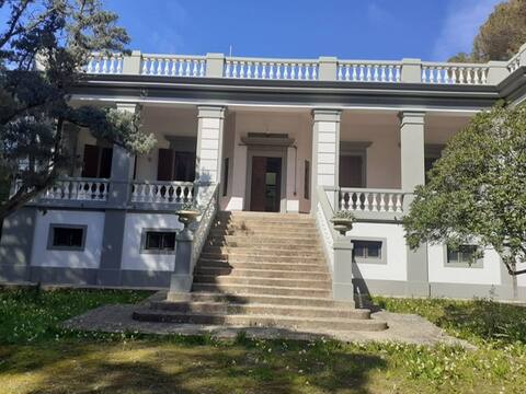 Historic villa with large park