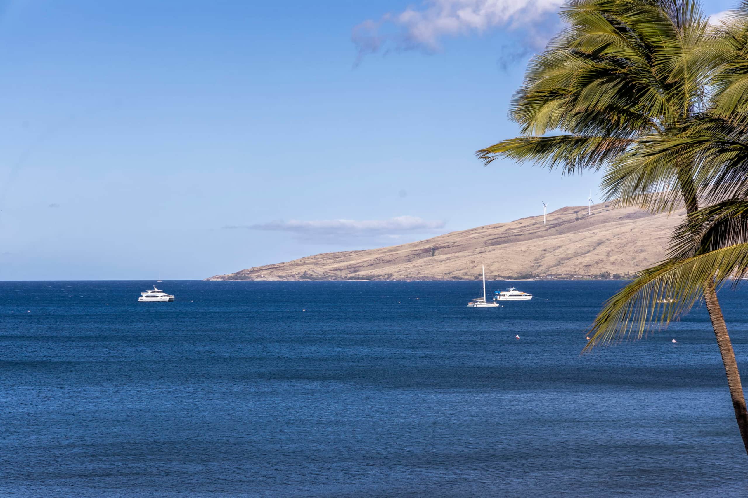 Condo in Kihei · ★4.93 · 2 bedrooms · 4 beds · 2 baths - Image 30