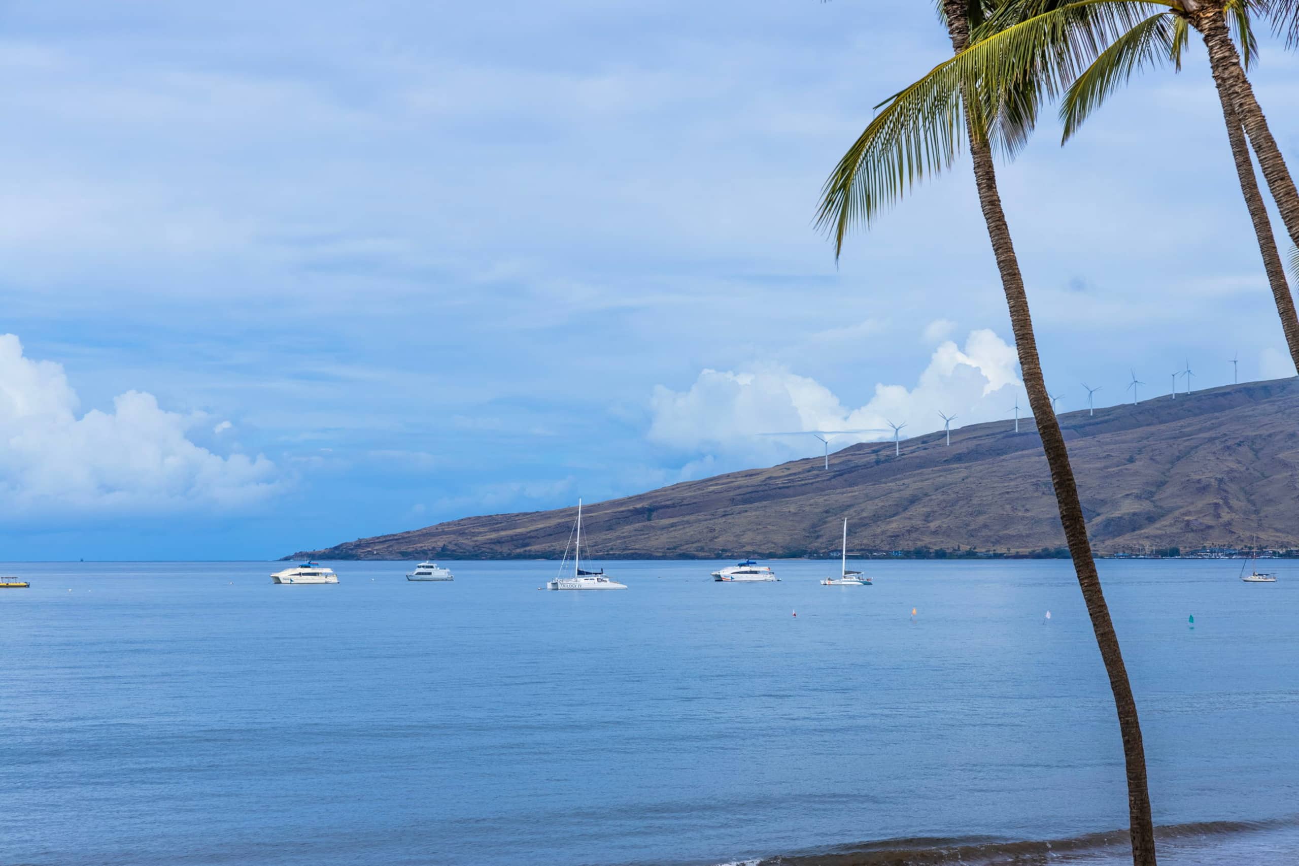Condo in Kihei · ★4.94 · 2 bedrooms · 3 beds · 2 private baths - Image 28