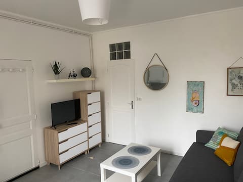 Successful Airbnb property: Downtown, WIFI, free parking in Sens