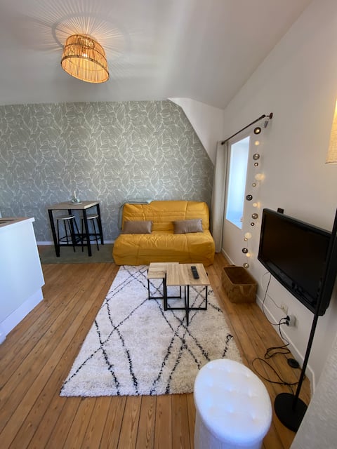 Propriété Airbnb réussie: Cosy Mac Nab à Vierzon