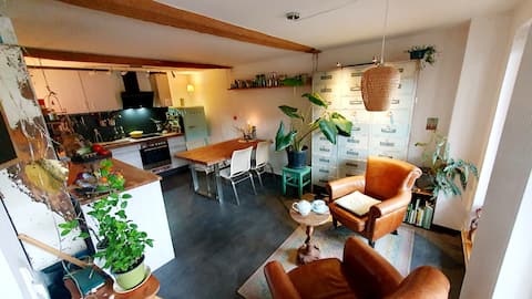 1 room apartment, Dreisamtal, Oberried, ski resort