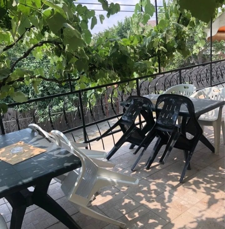 A terrace area is presented, featuring several tables and chairs arranged under green vines. The space includes both black and white plastic chairs, with a view of lush greenery beyond the railing.