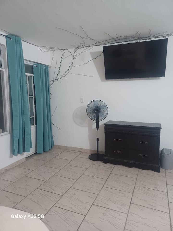 Televisión Satelital