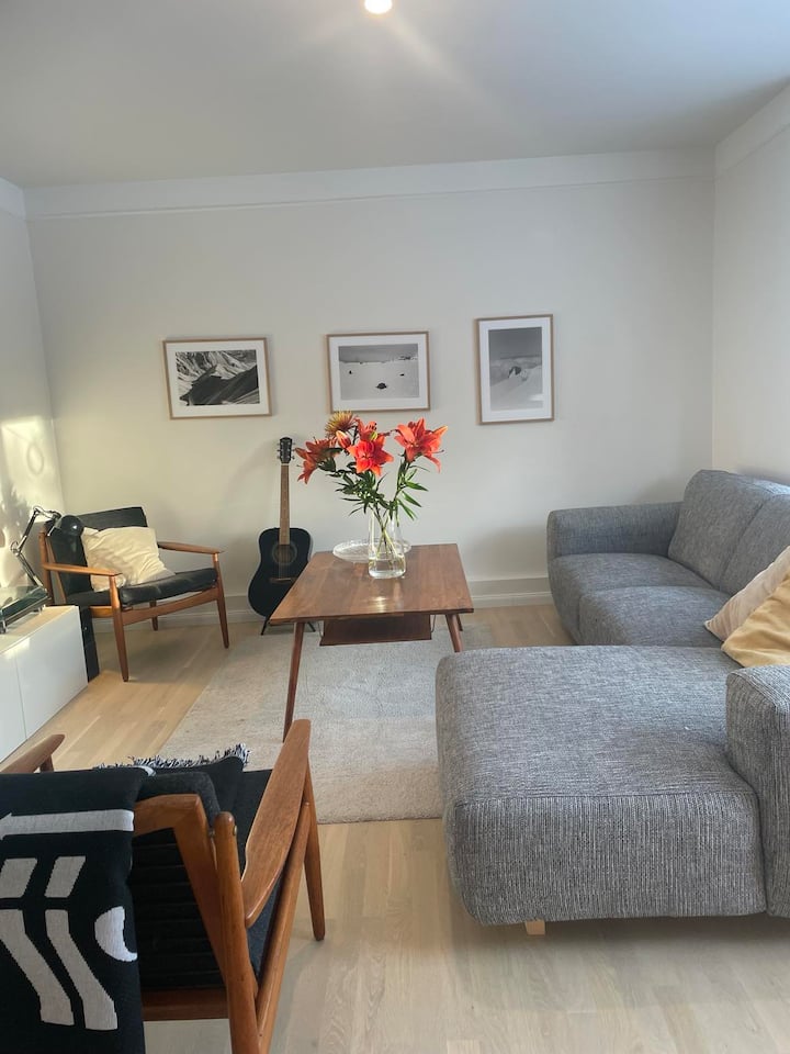 Bright And Cosy Apartment - Reykjavik