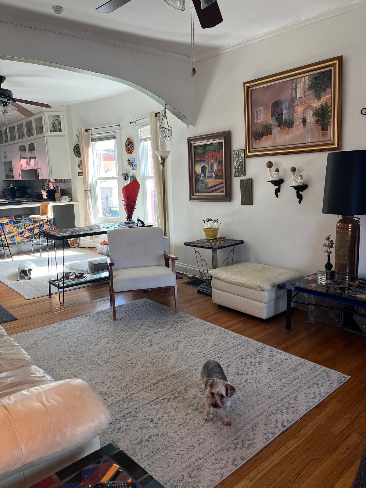 Top Airbnb: Boho Bungalow in Denver in Whittier