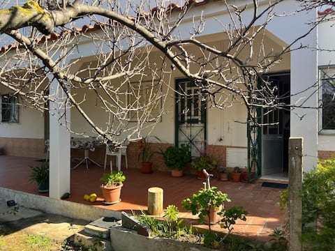 Successful Airbnb property: Olhao house near sea & center in Quelfes