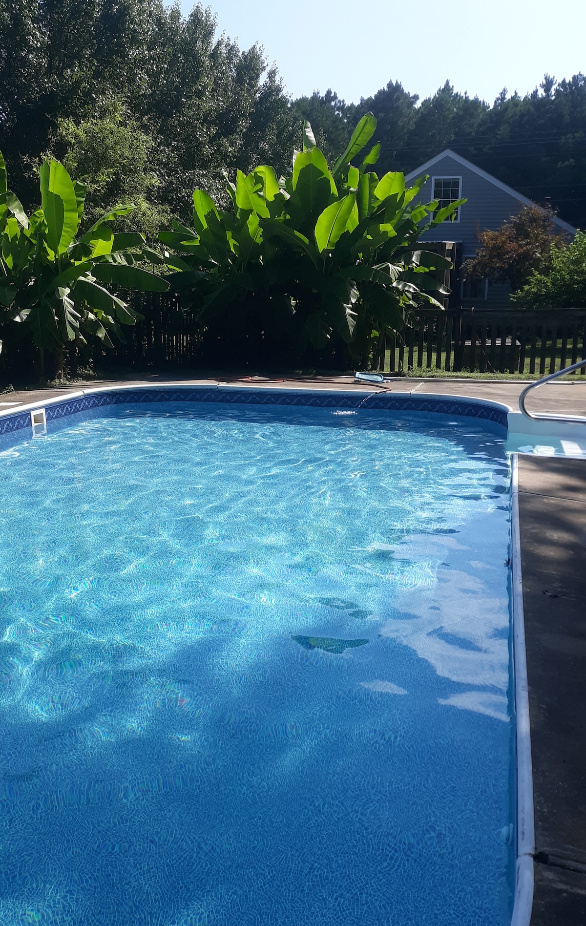 A private pool is highlighted, with clear blue water rippling gently under sunlight. Lush green plants frame the pool area, creating a relaxing outdoor space. A reinforced concrete surface surrounds the pool, and a portion of the cottage is visible in the background.