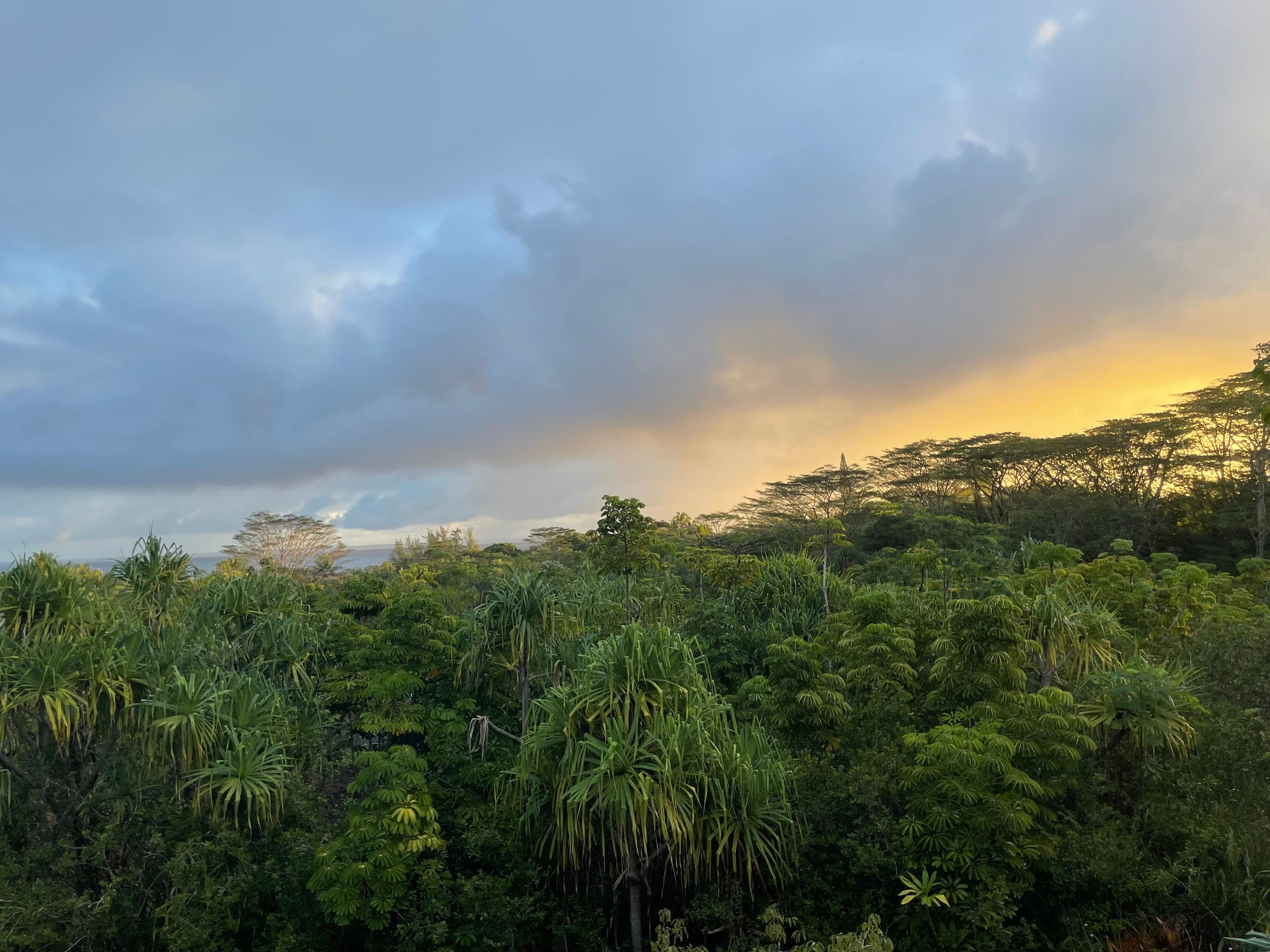Home in Pahoa · ★4.95 · 1 bedroom · 2 beds · 1 private bath - Image 63