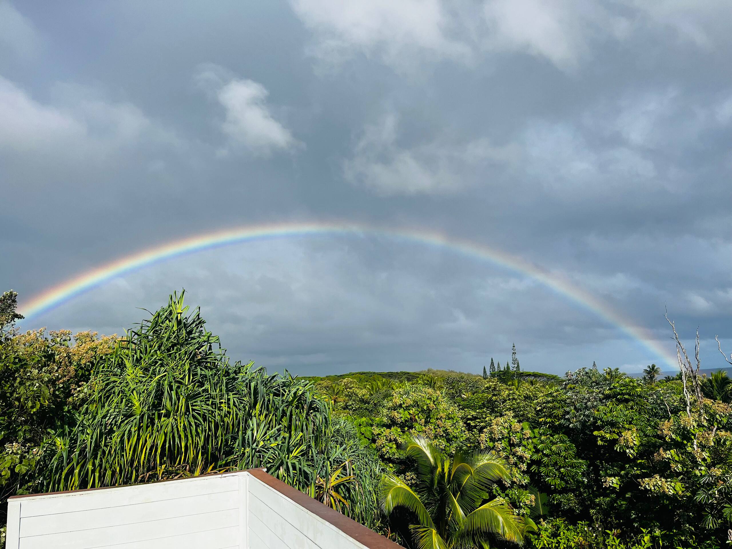 Home in Pahoa · ★4.95 · 1 bedroom · 2 beds · 1 private bath - Image 59
