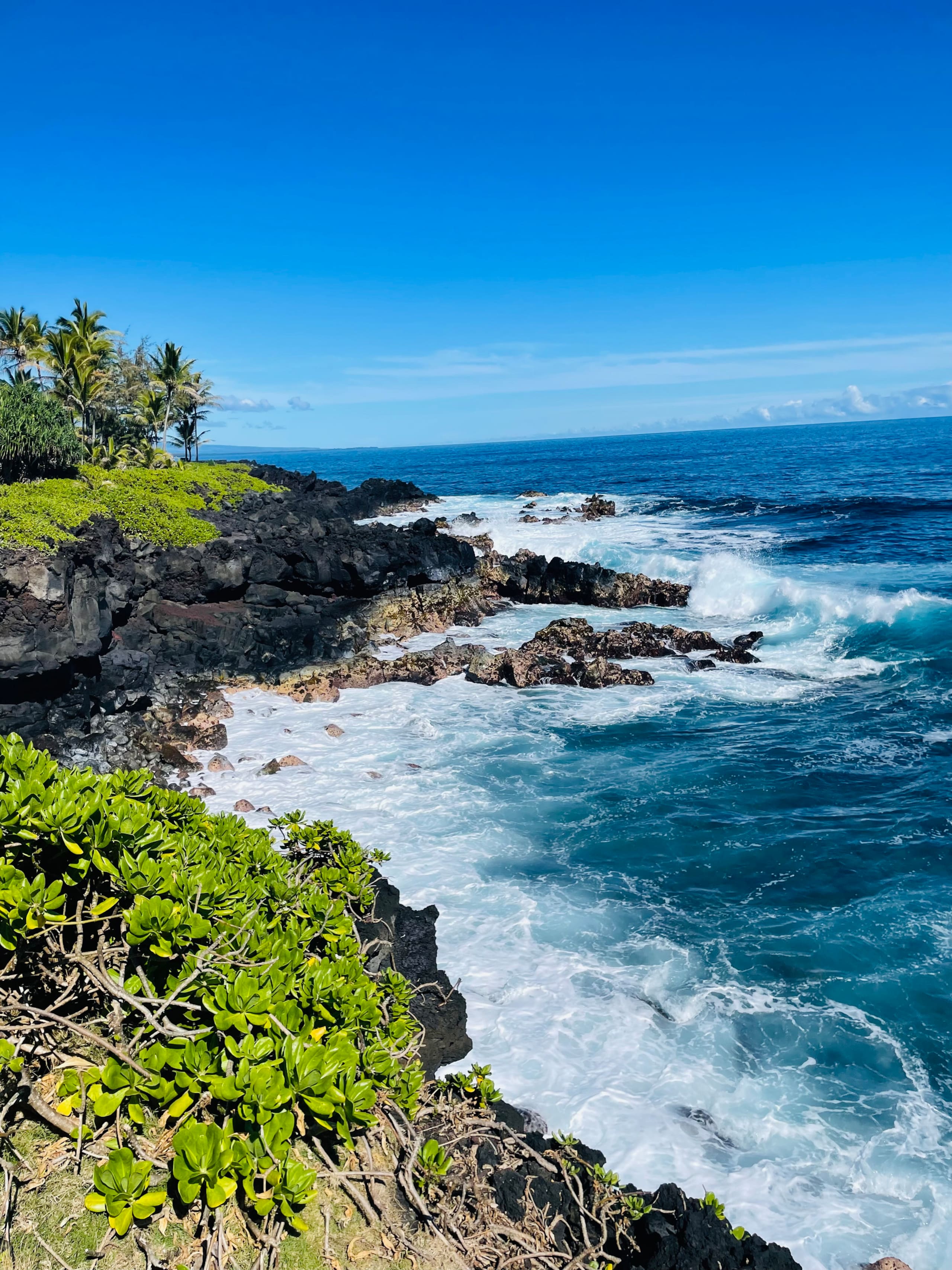 Home in Pahoa · ★4.95 · 1 bedroom · 2 beds · 1 private bath - Image 64