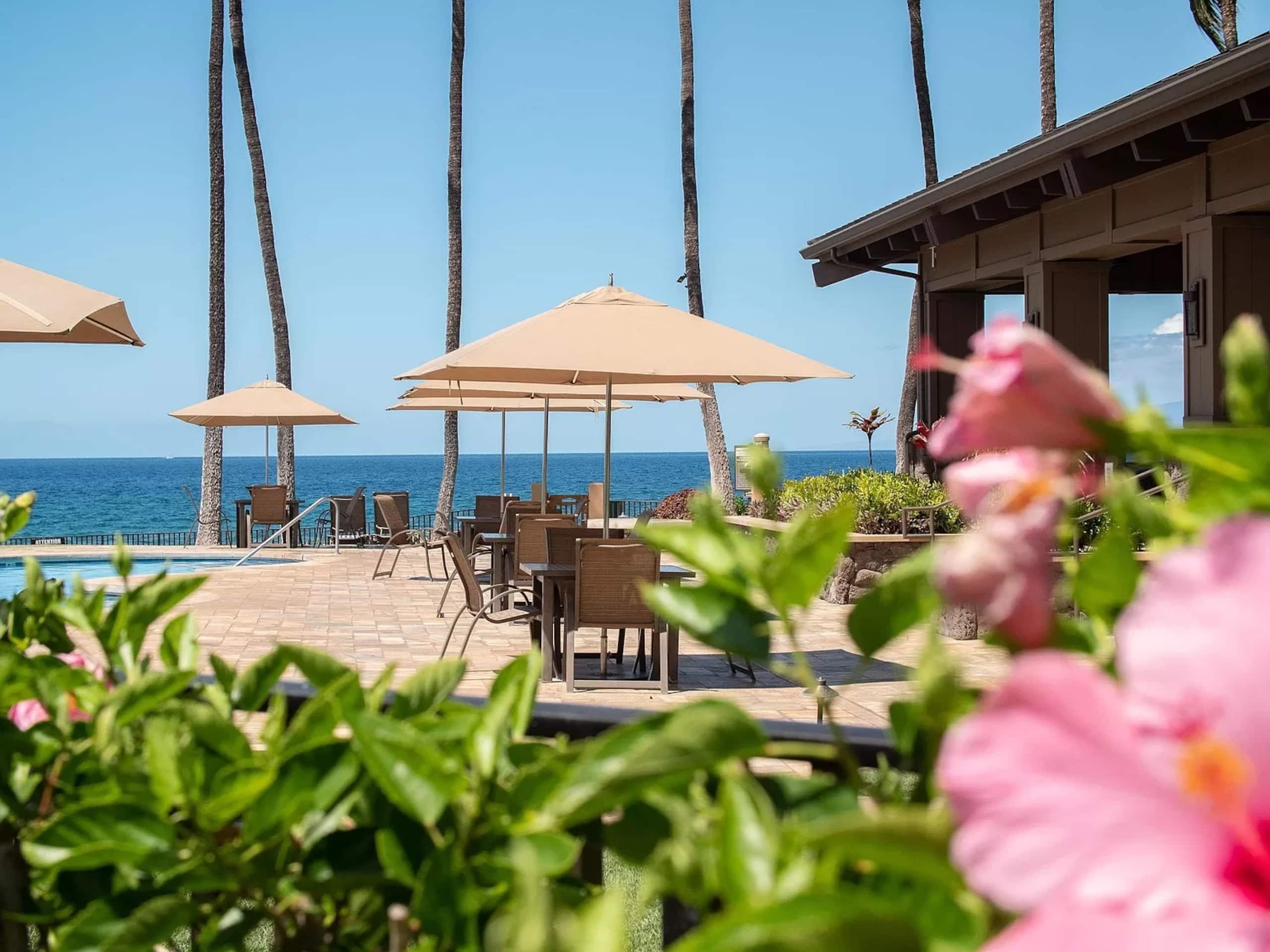 Wailea Ocean View Escape - Image 59