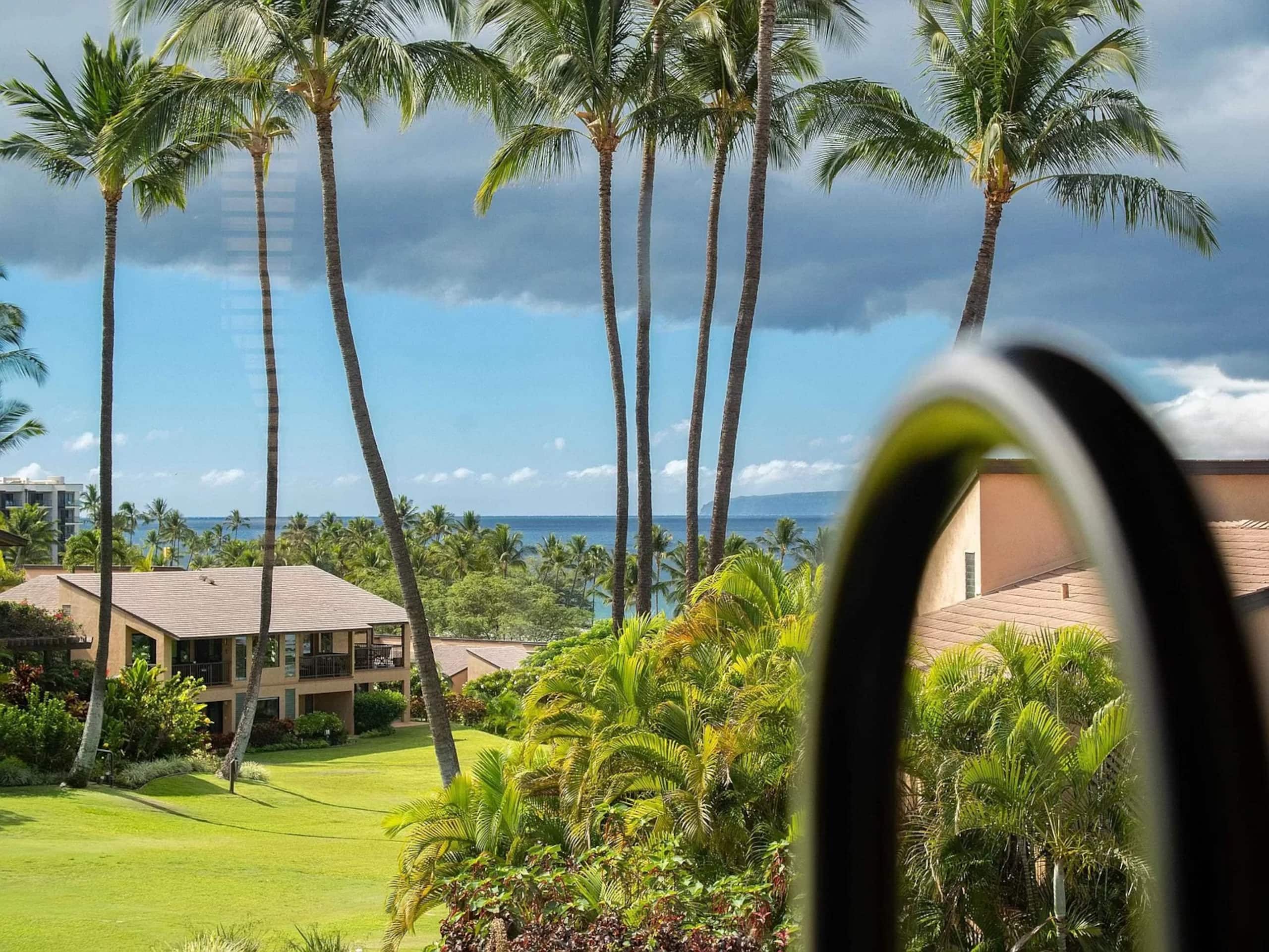 Wailea Ocean View Escape - Image 52