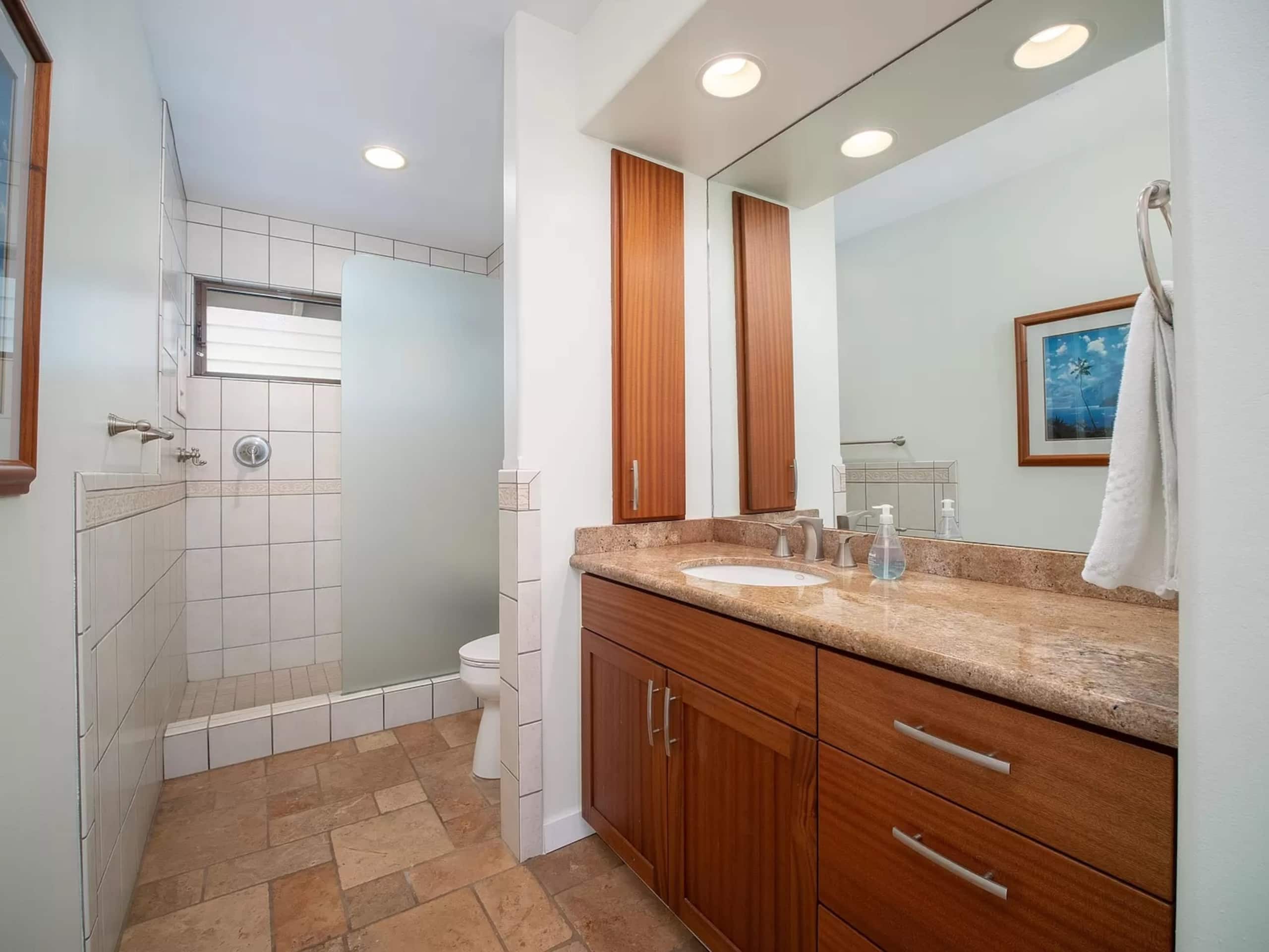 Wailea Ocean View Escape - Image 39