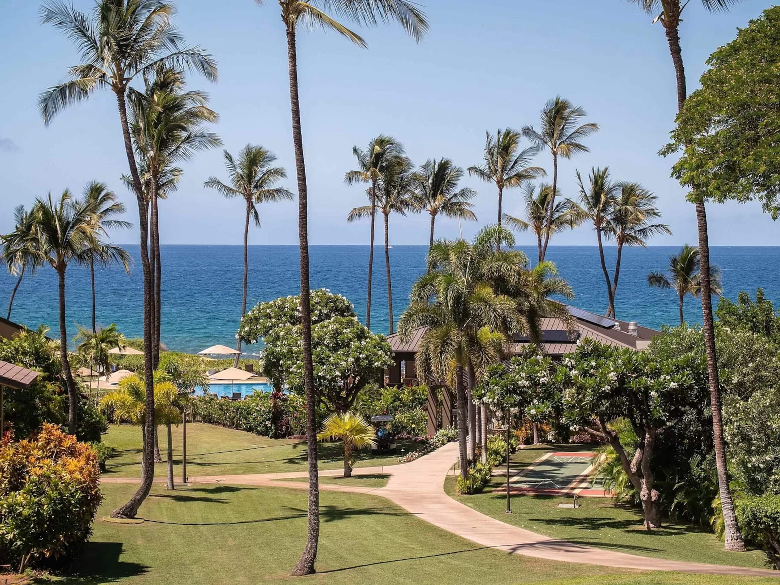 Wailea Ocean View Escape - Image 60