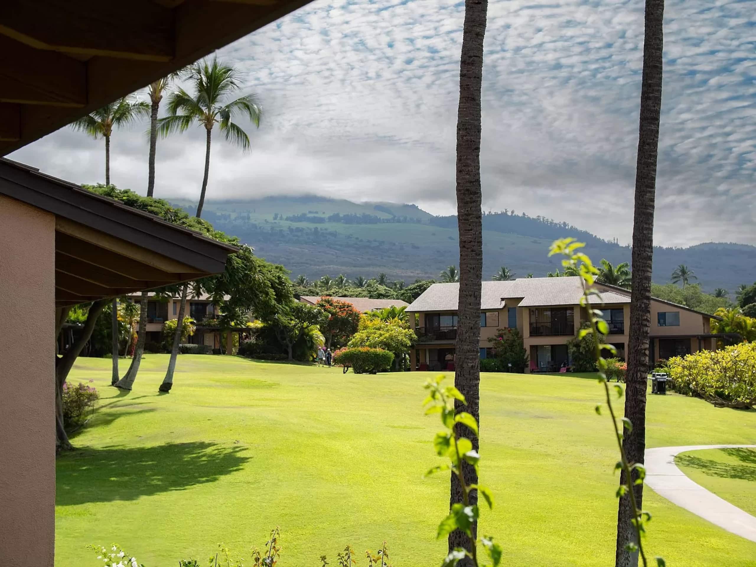 Wailea Ocean View Escape - Image 49