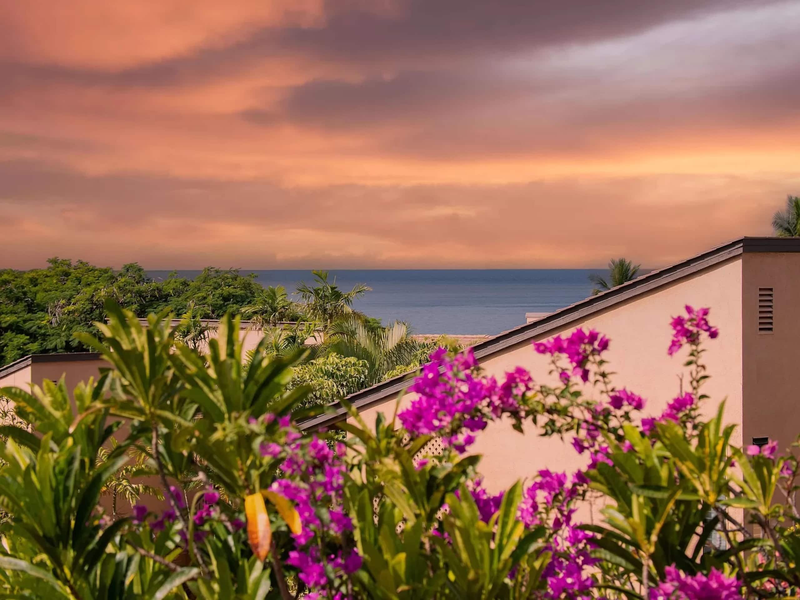 Wailea Ocean View Escape - Image 50