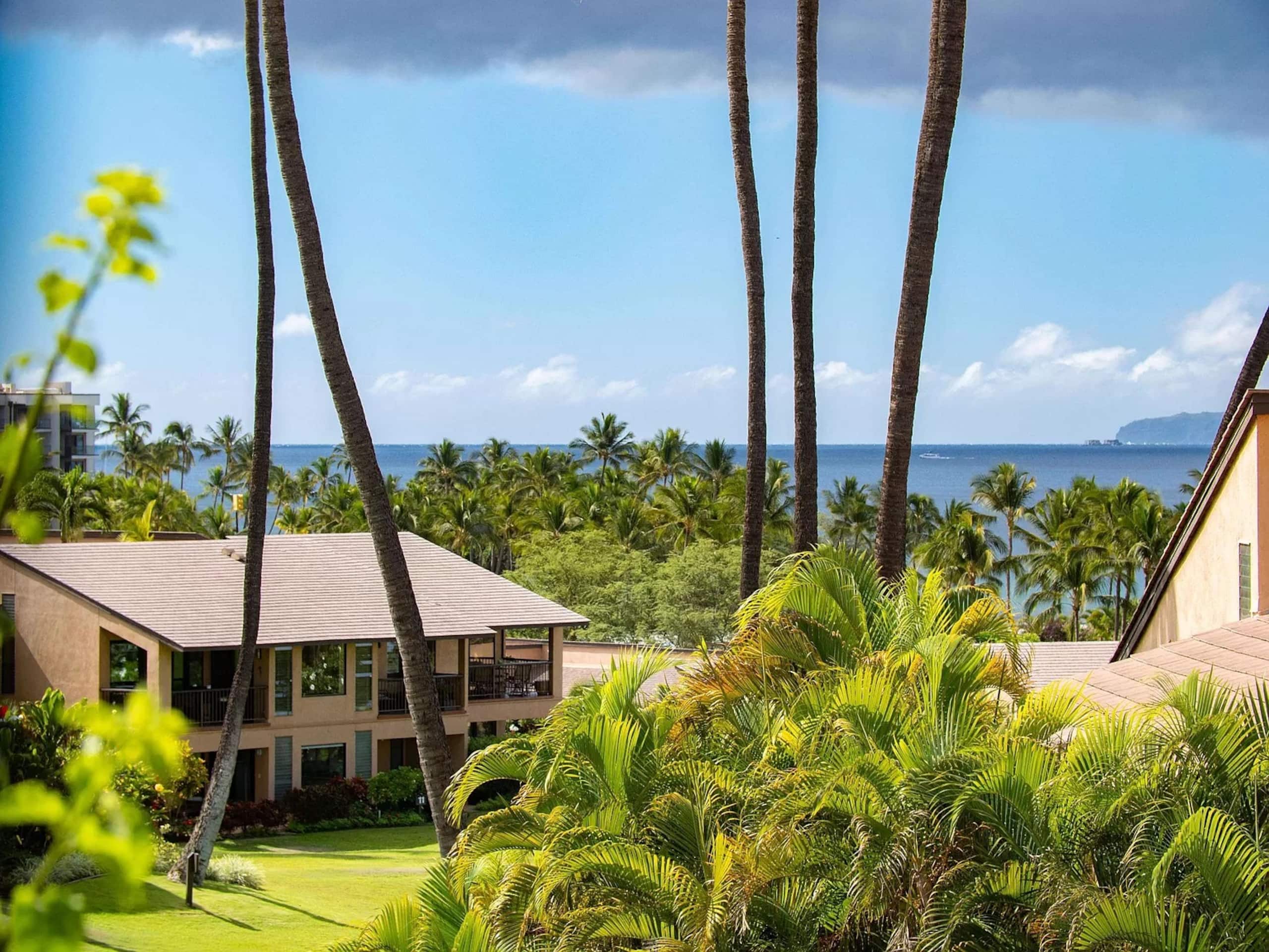 Wailea Ocean View Escape - Image 54