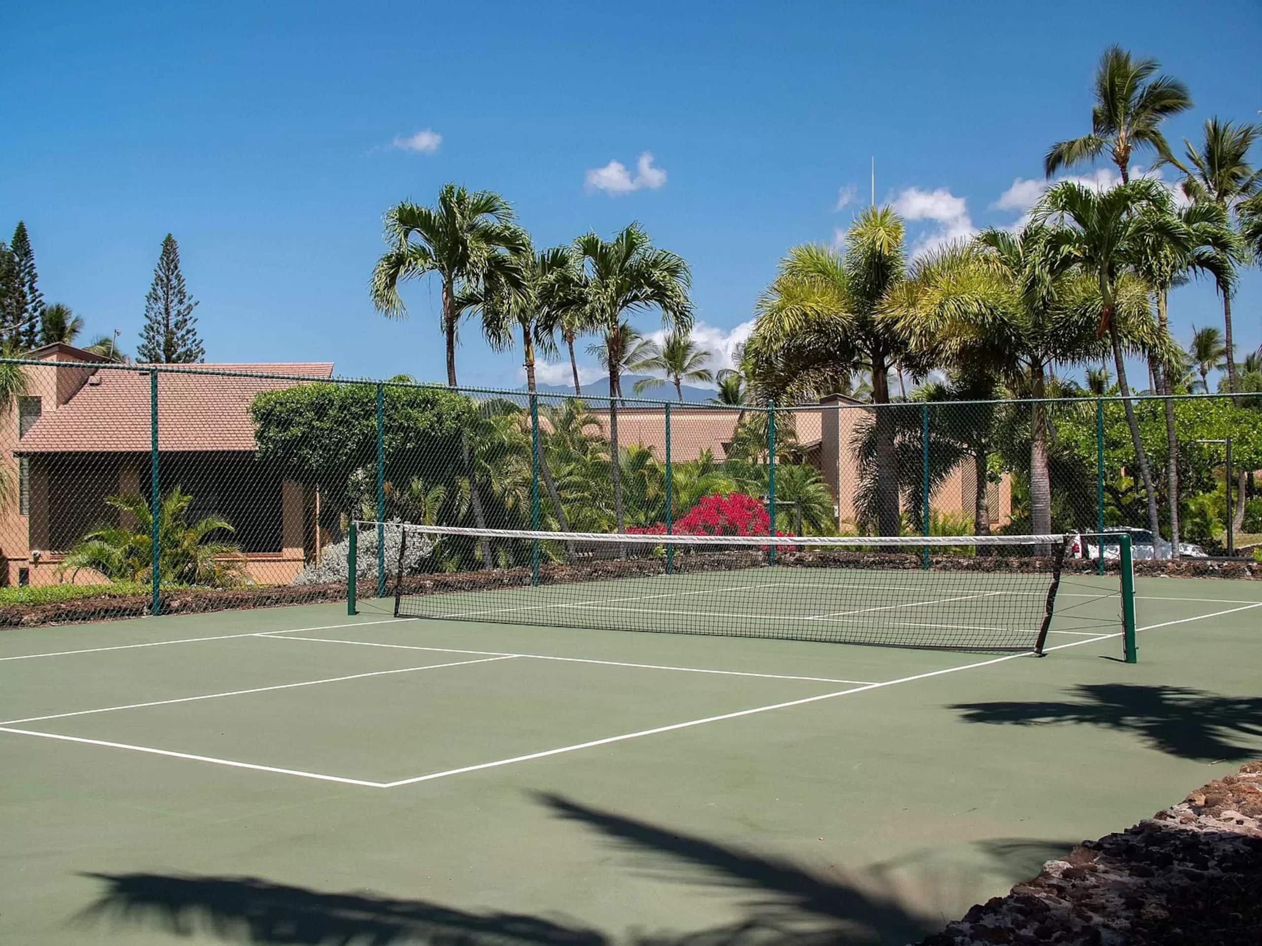 Wailea Ocean View Escape - Image 51