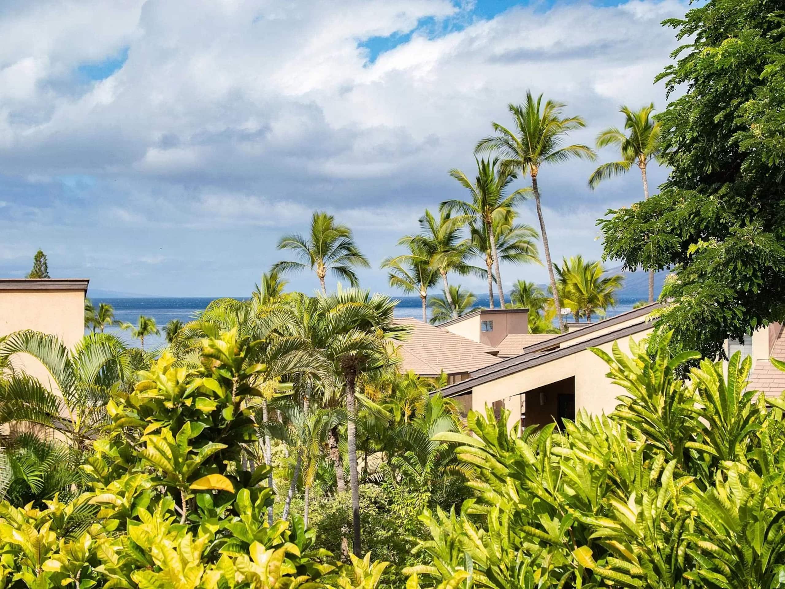Wailea Ocean View Escape - Image 53